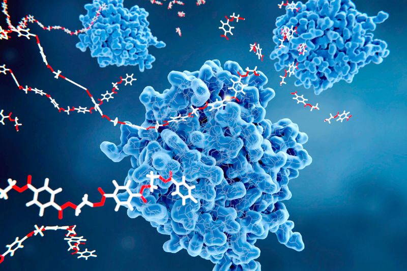 Enzymatic Debriding Agents